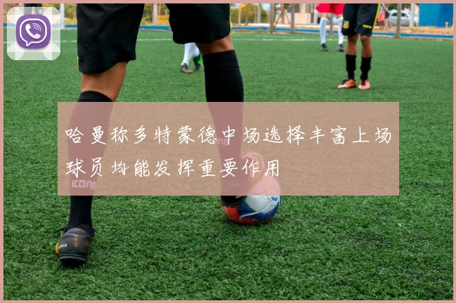 哈曼称多特蒙德中场选择丰富上场球员均能发挥重要作用